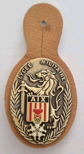 Insigne pucelle du - pucelle, lycée