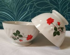 2 Bols Anciens à Facettes torsadé Sarreguemines Décor Roses rouges 