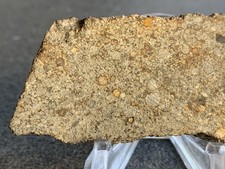 Météorite slice Chondrite