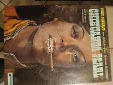 BD- Blueberry"chihuahua Pearl"-