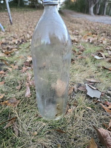 Pepsi cola vintage glass 1 - cola,