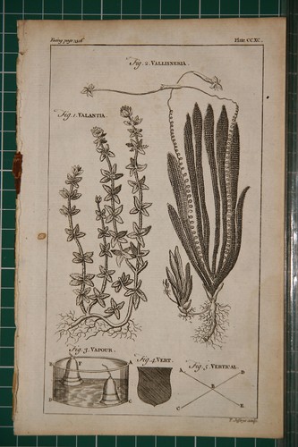 1764 antique - 1764,