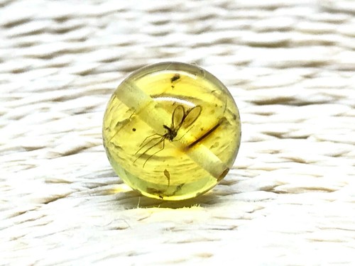 Ambre insecte perles rondes - ambre,