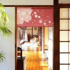 MADE IN JAPAN - Sakura Rideau
