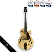 Guitare électrique acoustique