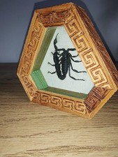 Jolis Petite VITRINE SCORPION