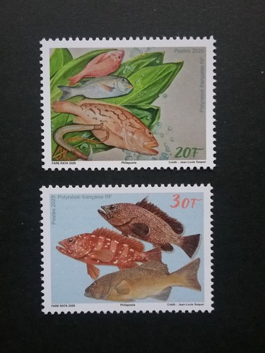 Polynesie 2025 poissons hors - polynesie,