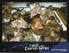 LA NUIT DES CHAUVES-SOURIS  SUPERBE PHOTO EXPLOITATION (PHOTO NUMERO 2)