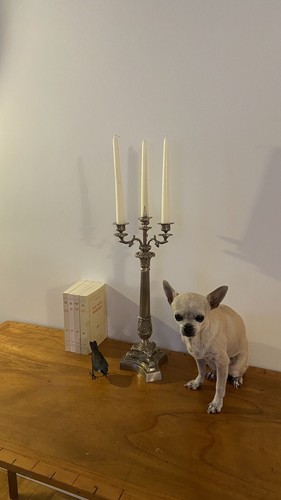 Grand chandelier bougeoir en - /,