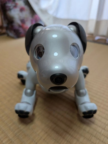 Sony aibo ers - aibo, ers-1000