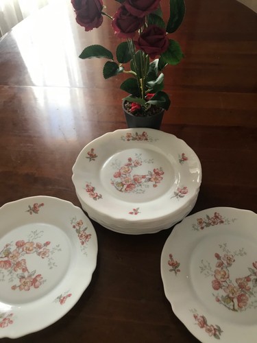 Assiettes plats - 12,