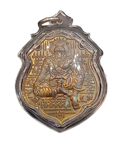 Tiger sming fly wing chanai - tiger,