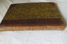 Les bizarreries des Races Humaines par Coupin Henri