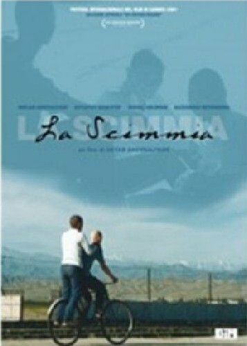 Scimmia dvd bim - la, chimp)