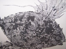 Table basse signée - design