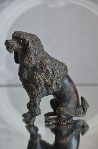 Caniche royal bronze de - caniche, en