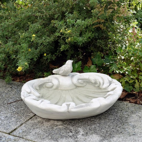 Bol boire oiseaux abreuvoir - bol, à