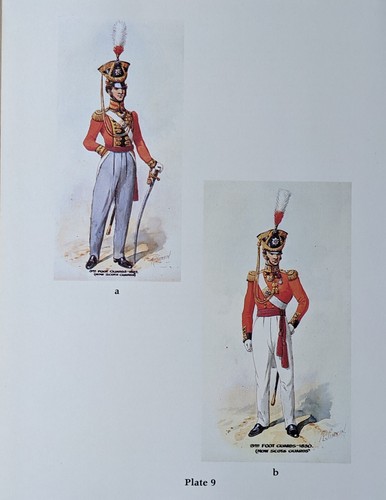 Militaire armée britannique - armée,