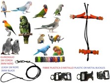 Bavoir Perroquets Noir Et Orange Élastique Cou 3MM De Perruches À Amazone