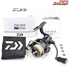 Moulinet de pêche Daiwa 21