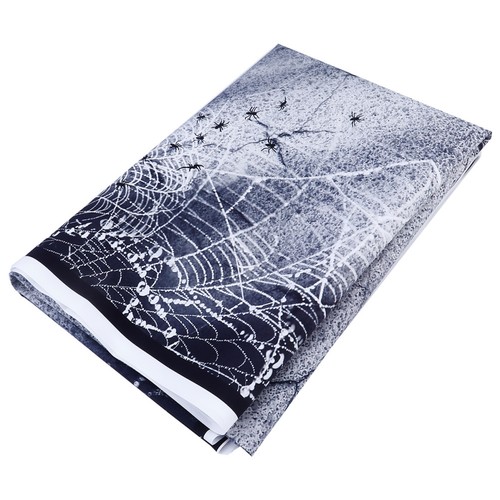 Toile araignée decoration - d'araignée,