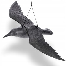 KADAX - Corbeau volant en