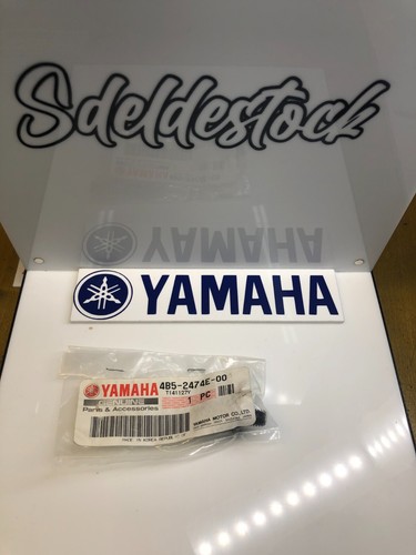 Pivot verin selle yamaha - 1,