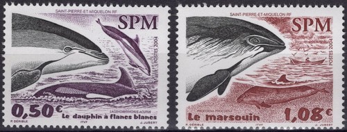 Spm saint pierre - pierre, miquelon