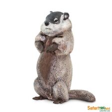 Safari Ltd 100118 Marmotte 11 Cm Série Animaux Sauvages