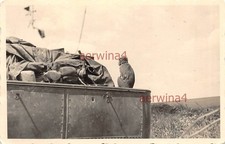 Singe avec bottes sur camion