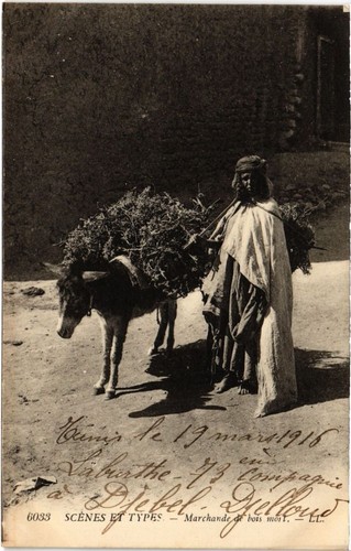Cpa algeria scenes - cpa,