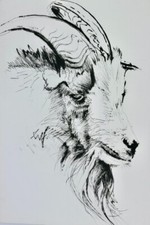 Jules RENARD Histoires