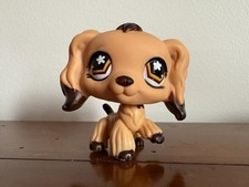 Petshop épagneul cocker