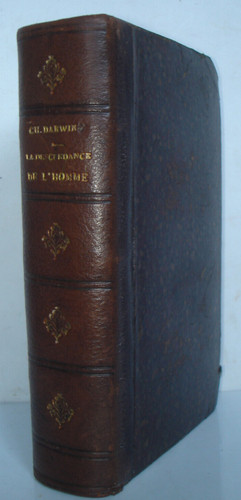 Darwin descendance de - darwin,