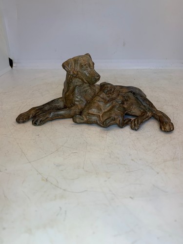 Chien avec ses petits - ses, en
