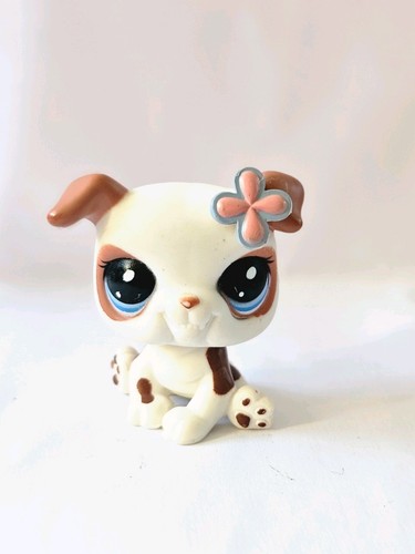 Littlest pet shop - ,