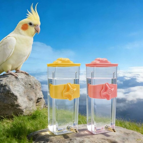 Abreuvoir automatique oiseaux - abreuvoir,