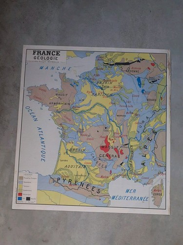 Affiche scolaire rossignol - affiche,