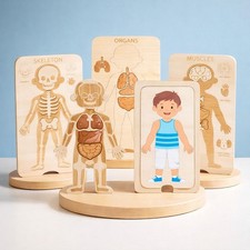 Jeu d'anatomie du corps