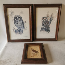 Lot Cadres Chouette / Hiboux Signé Joël Kirk