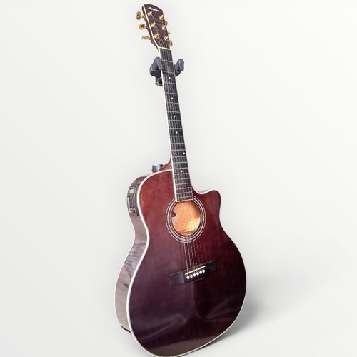 Guitare acoustique électrique - guitare, acoustique-électrique