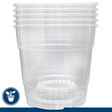 5 X Pot Orchidée Transparent