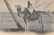 CPA ALGERIE MEHARI MONTE PAR UN TARGUI (dos non divisé)