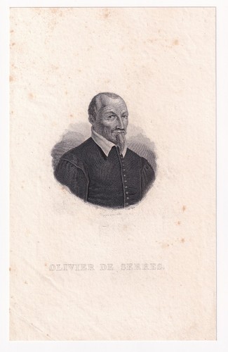 Olivier serres ver soie - olivier, à