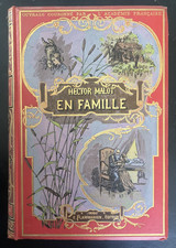 Hector Malot, En famille