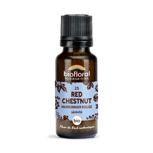 Biofloral red chestnut - red,