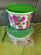 tupperware  lot de 2 boîtes a