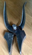 outils anciens, belle pince à