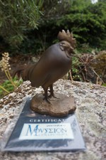 POM04  COQ DORMANT  POMPON