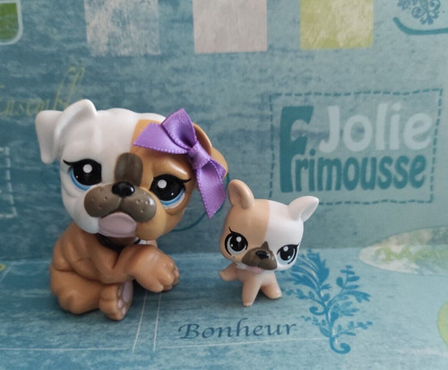 Petshop chien bouledogue - chien, n°